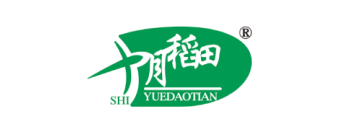 首页标题
